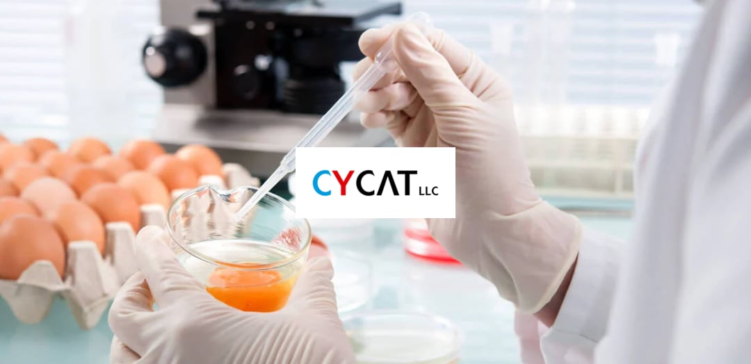 Cycat LLC